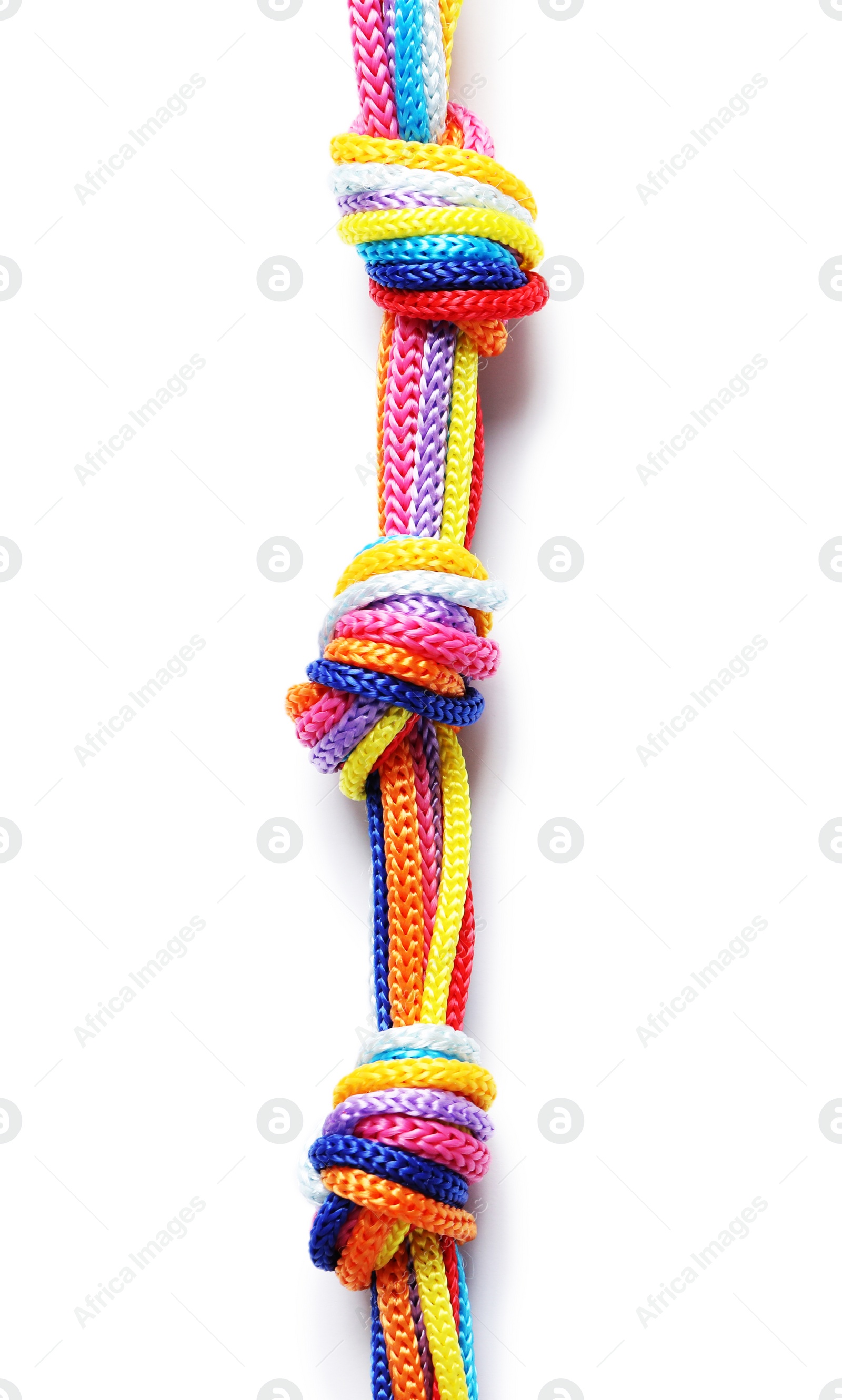 Photo of Colorful ropes tied together with knots on white background. Unity concept
