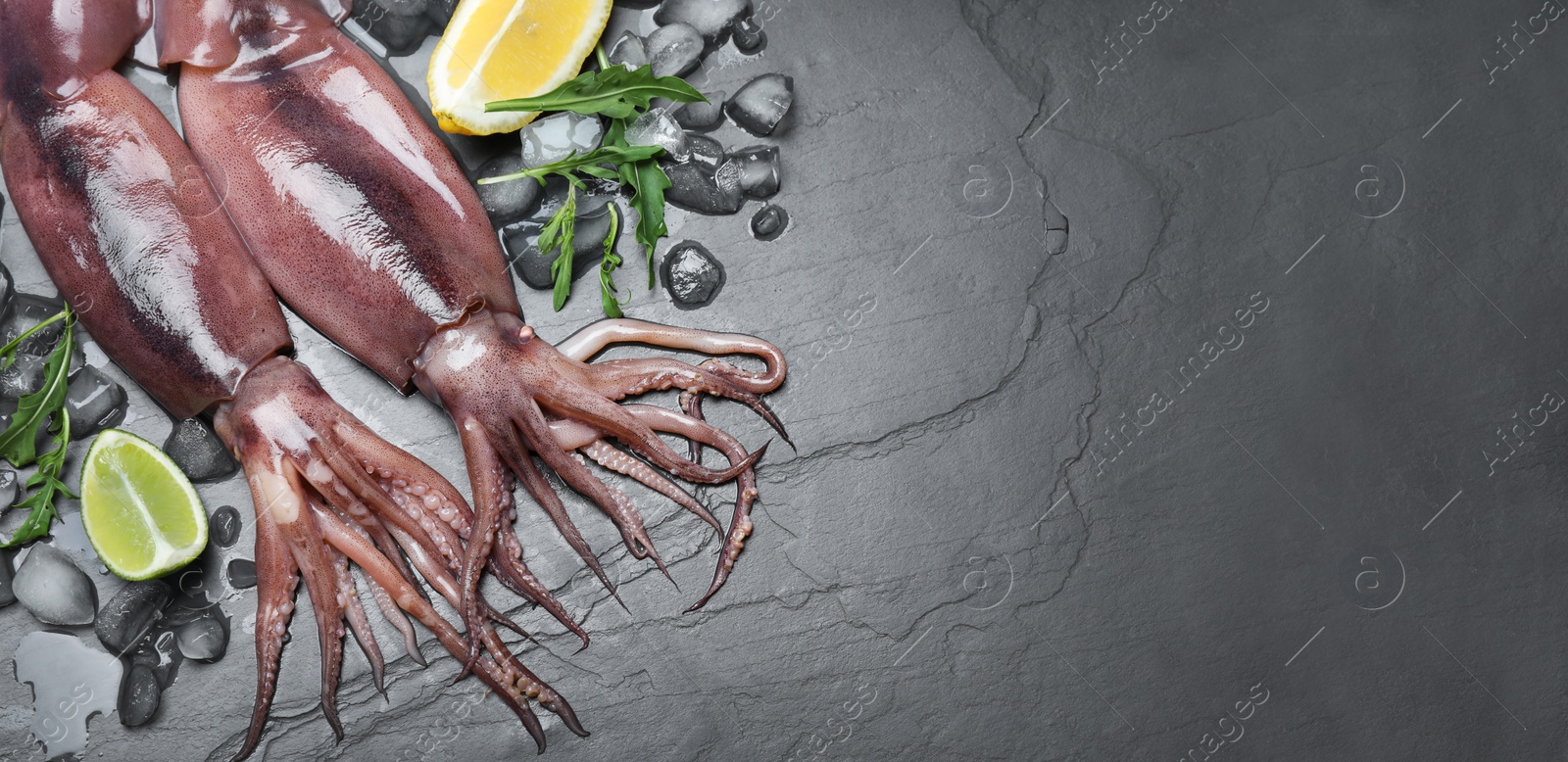 Image of Fresh squids, slices of lemon and lime, arugula and ice on grey table, flat lay. Banner design with space for text