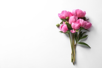 Photo of Fragrant peonies on white background, top view. Beautiful spring flowers