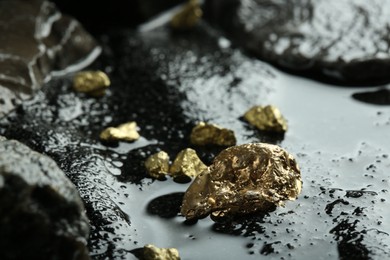 Shiny gold nuggets on wet stones, closeup