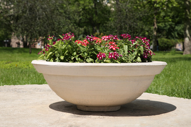 Photo of Beautiful flowers in stone plant pot outdoors on sunny day