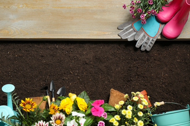 Flat lay composition with gardening tools and flowers on soil, space for text