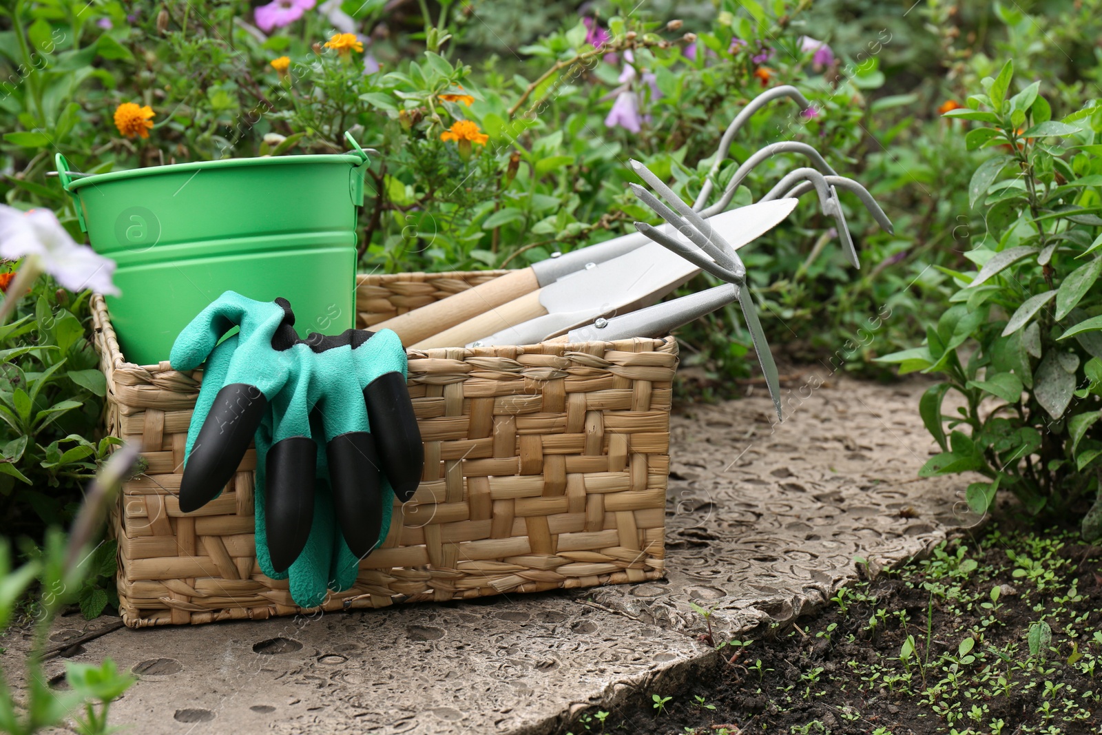 Photo of Wicker basket with gloves, bucket and gardening tools near flowers outdoors