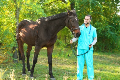 Photo of Veterinarian in uniform with beautiful brown horse outdoors