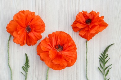 Beautiful bright red poppy flowers on white wooden background, flat lay