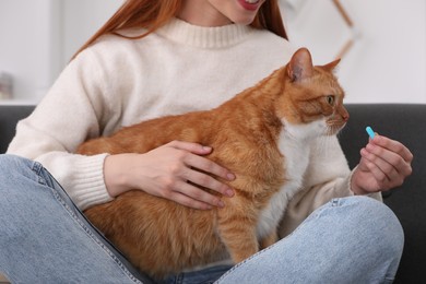 Photo of Woman giving pill to cute cat indoors, closeup