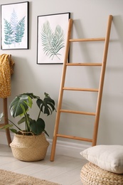 Stylish room interior with decorative ladder and monstera plant