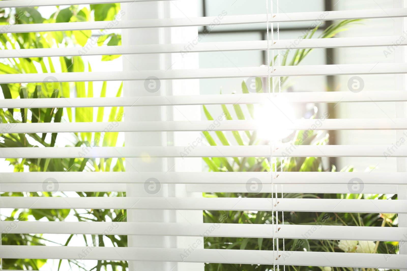 Photo of Beautiful view through window on garden in morning