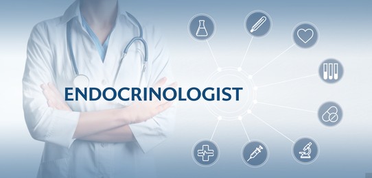 Image of Endocrinologist, word and scheme with icons on light background, banner design. Doctor with stethoscope, closeup