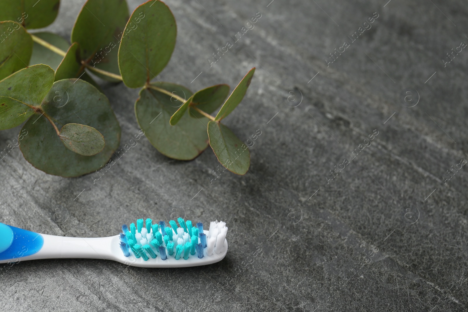 Photo of Plastic toothbrush and eucalyptus branch on grey table, closeup. Space for text