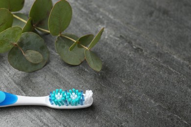 Photo of Plastic toothbrush and eucalyptus branch on grey table, closeup. Space for text