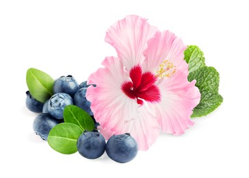Image of Beautiful hibiscus flower, fresh tasty blueberries and mint on white background