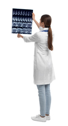 Photo of Orthopedist holding X-ray picture on white background