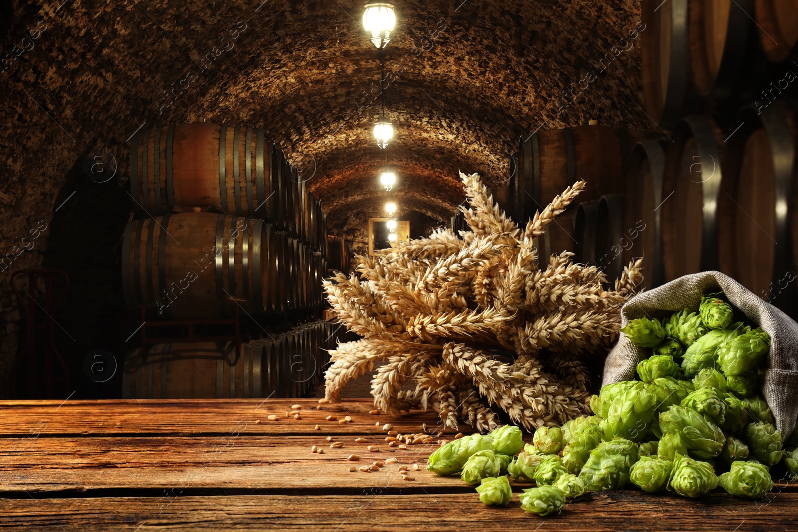 Image of Fresh hops and wheat spikes on wooden table in beer cellar, space for text