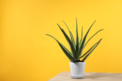 Green aloe vera in pot on wooden table against yellow background, space for text