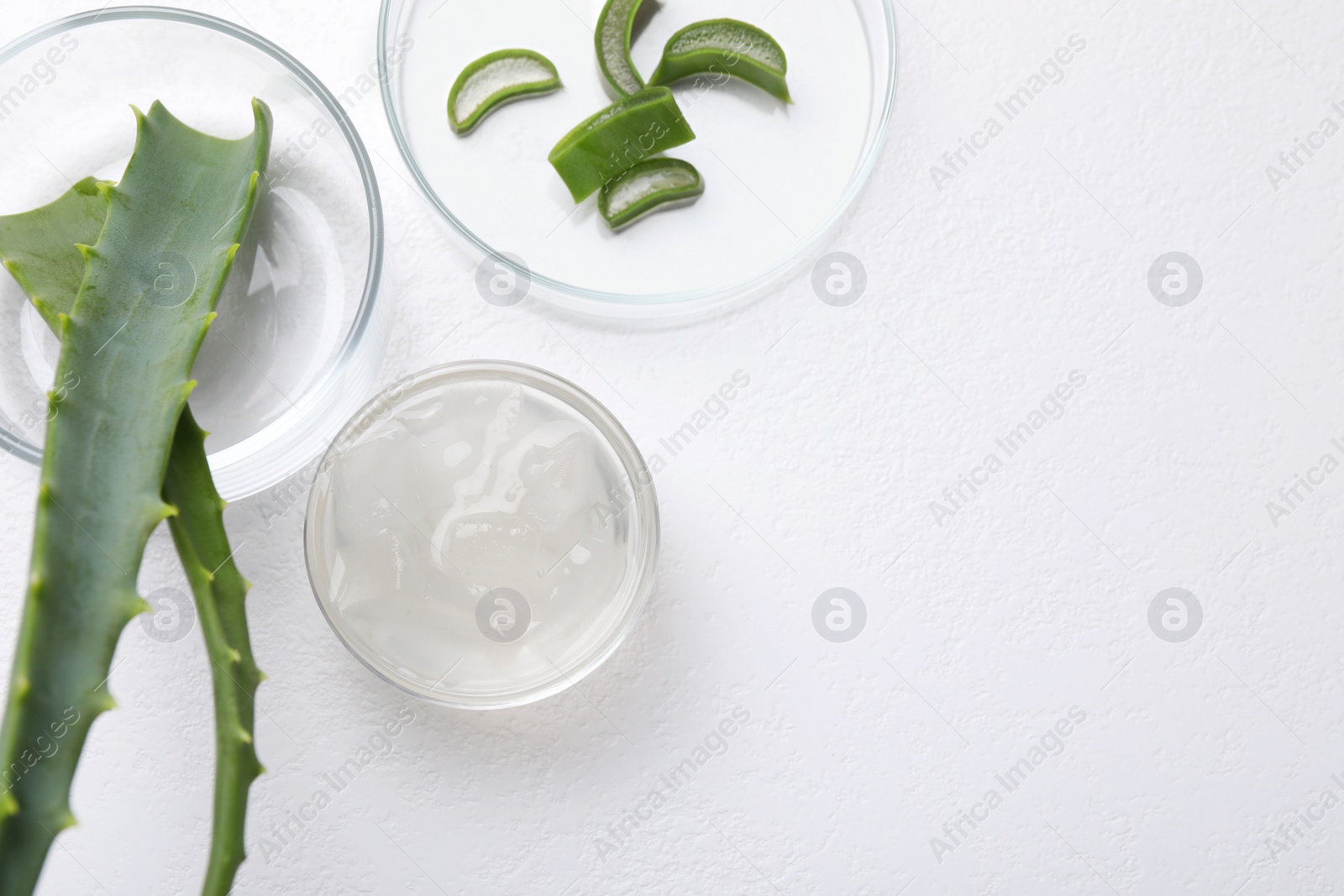 Photo of Aloe vera gel and slices of plant on white background, flat lay. Space for text