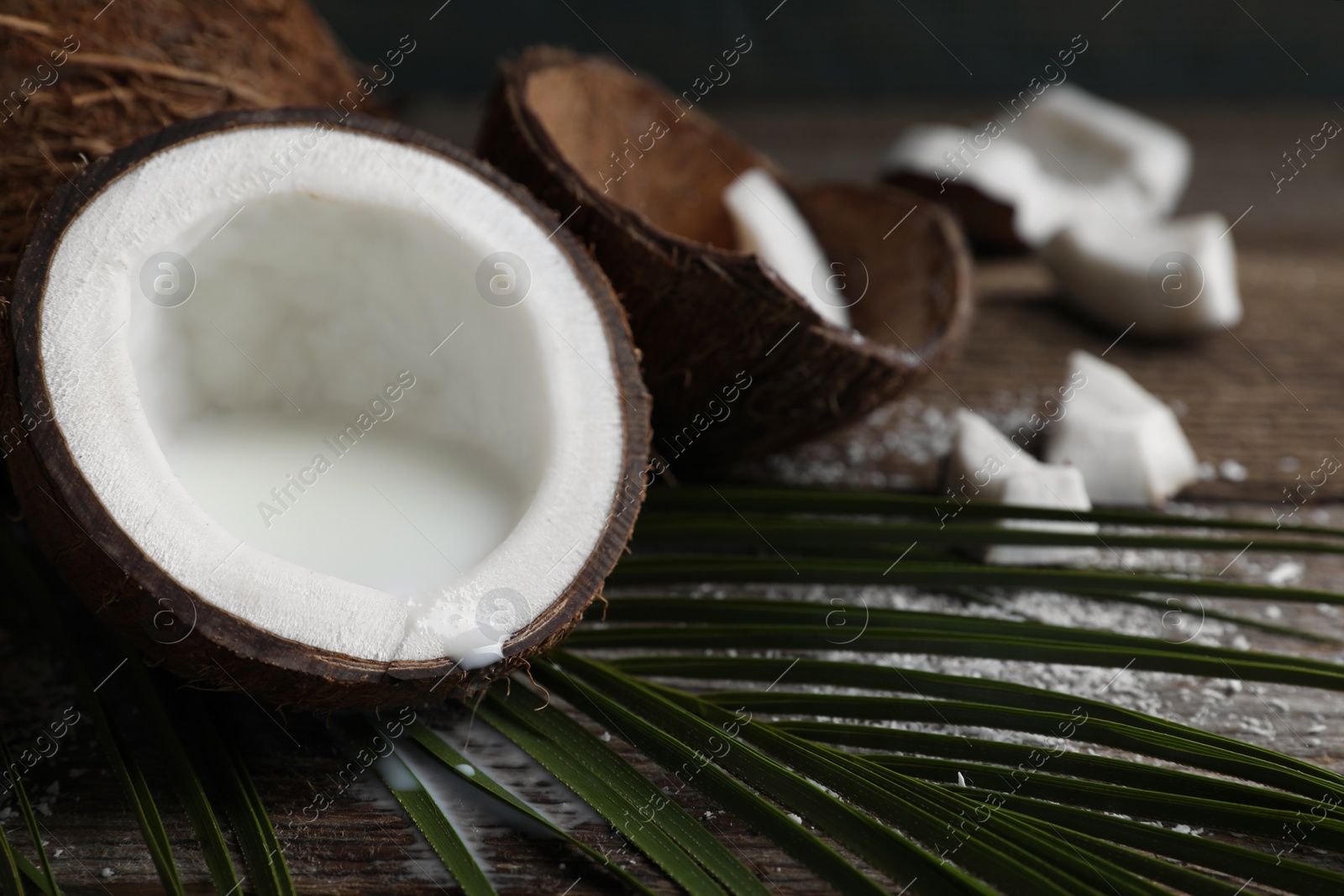 Photo of Coconut milk, flakes, nuts and palm leaf on wooden table, closeup. Space for text