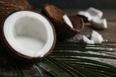 Photo of Coconut milk, flakes, nuts and palm leaf on wooden table, closeup. Space for text