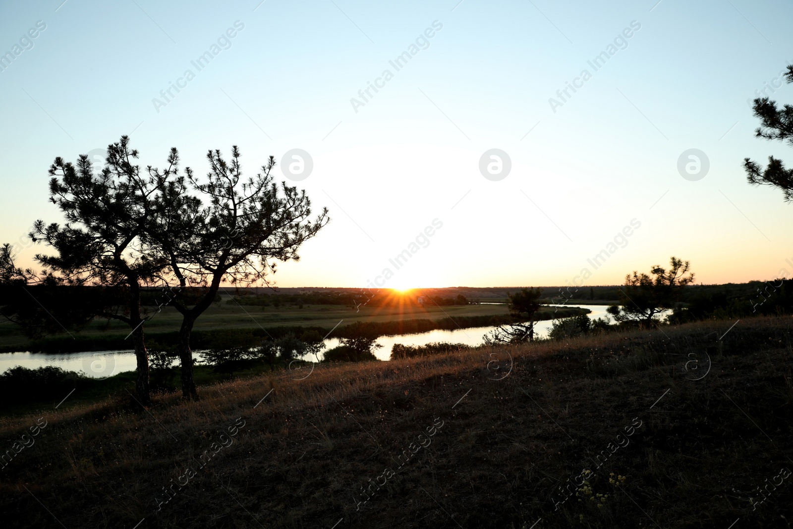 Photo of Picturesque view of tree near river at sunset