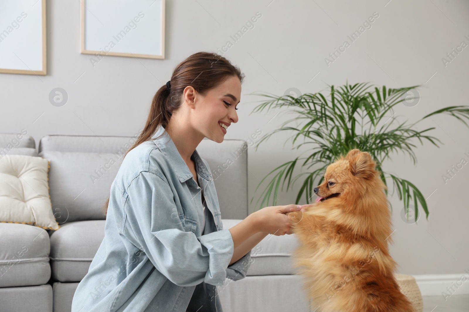 Photo of Happy young woman with cute dog in living room