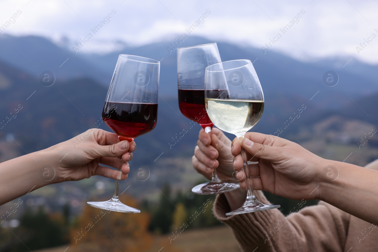 Photo of Friends clinking glasses of wine in mountains, closeup