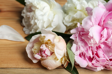 Photo of Beautiful fragrant peonies on wooden table, closeup
