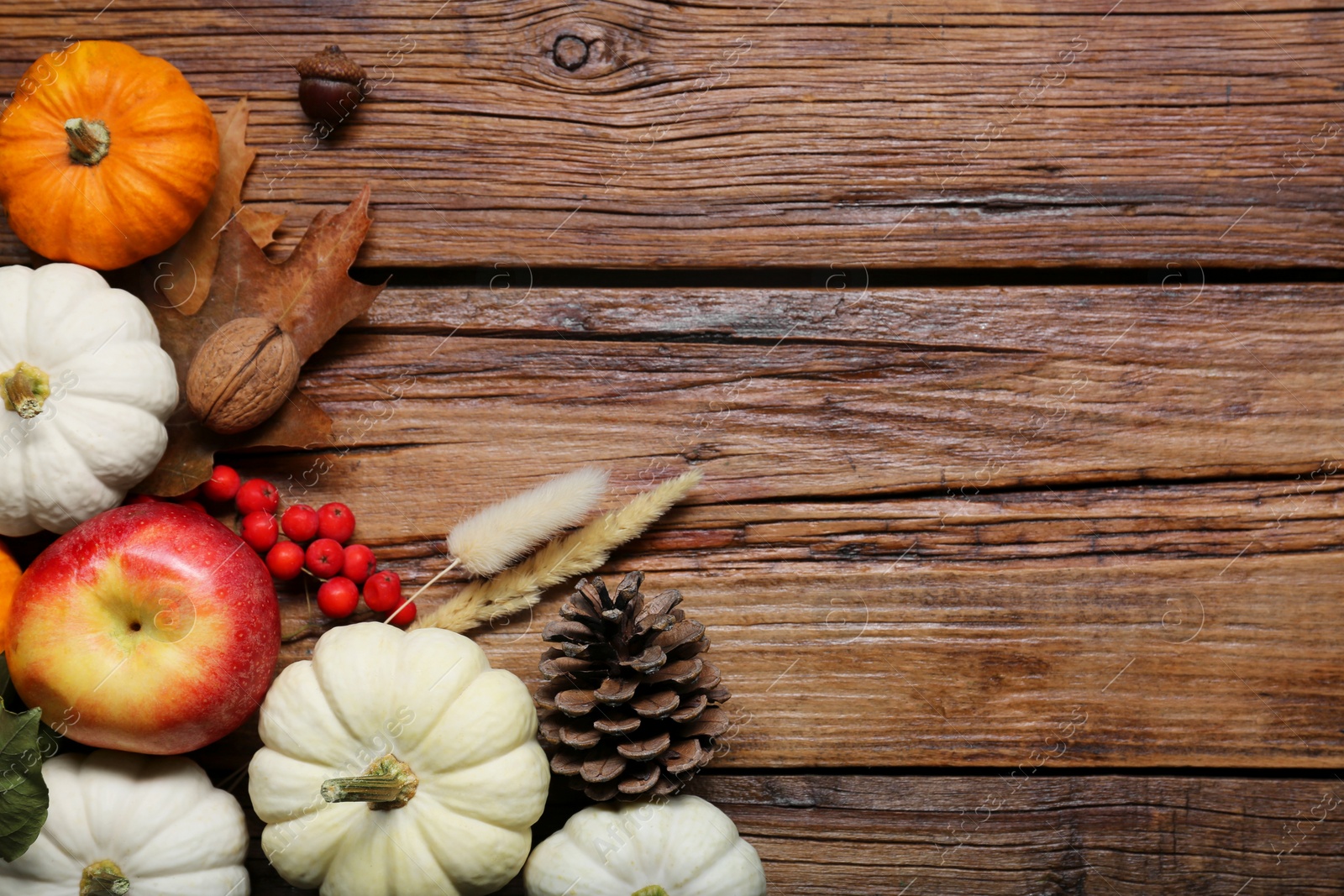 Photo of Thanksgiving day. Flat lay composition with pumpkins on wooden table, space for text