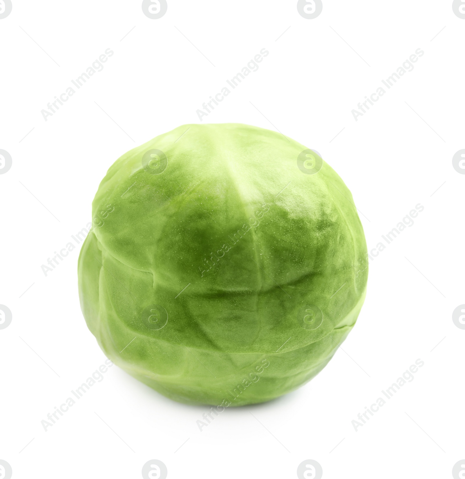 Photo of Fresh tasty Brussels sprout on white background