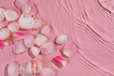 Beautiful rose petals in water on pink background, top view. Space for text