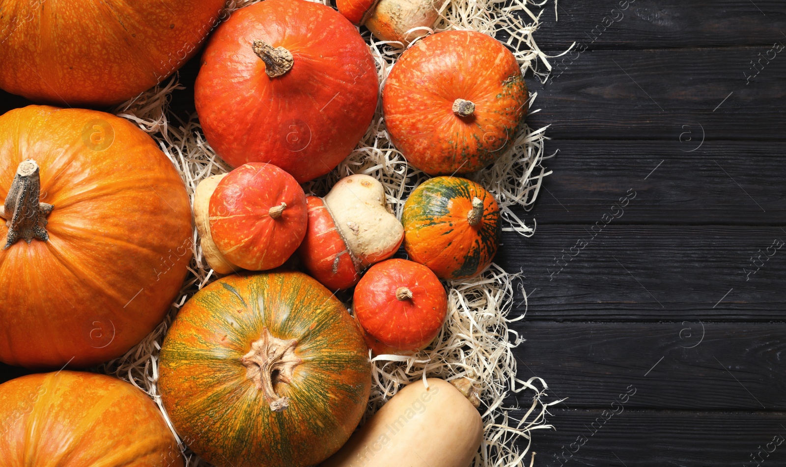 Photo of Flat lay composition with different pumpkins and space for text on wooden background. Autumn holidays