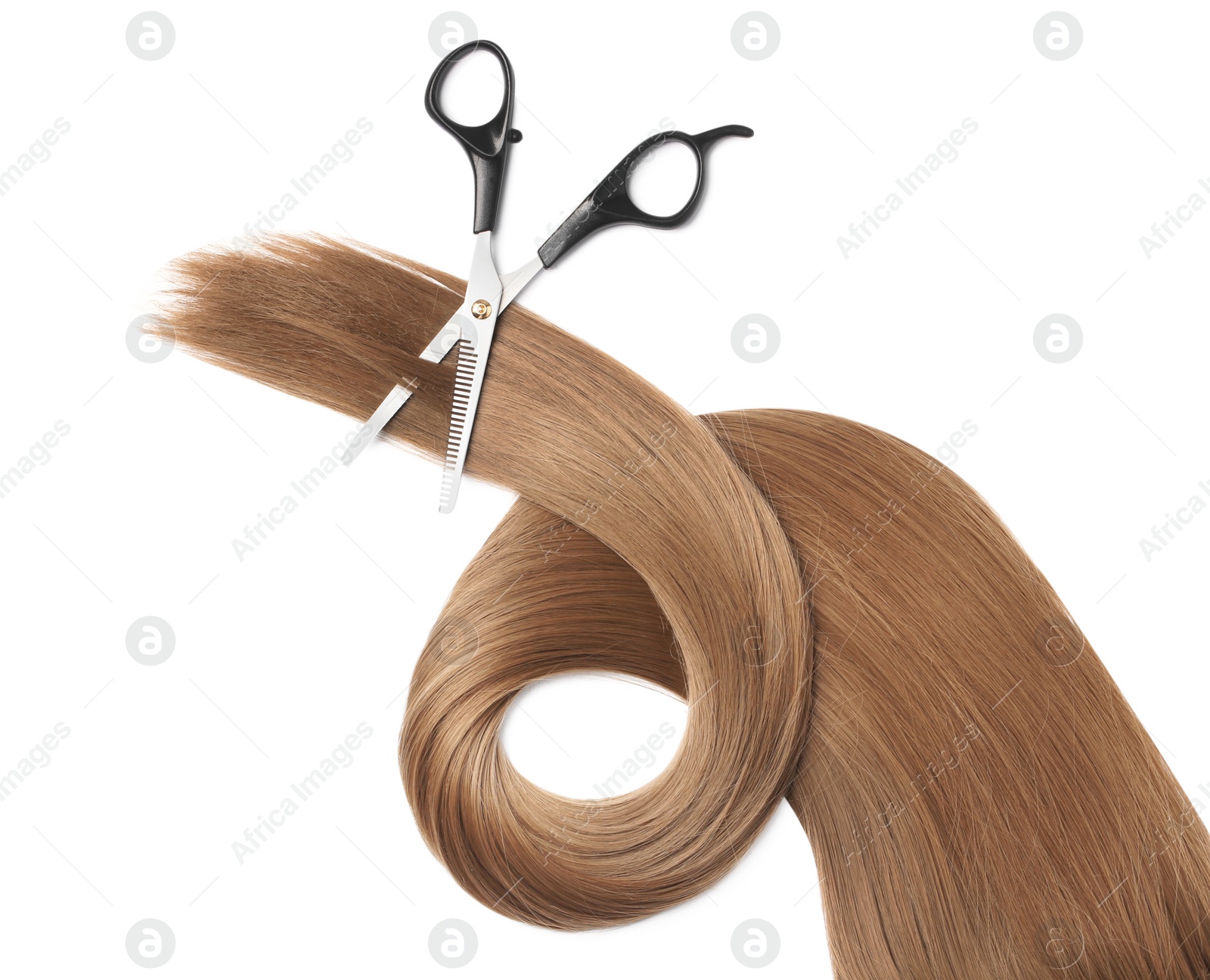 Photo of Light brown hair and thinning scissors on white background, top view. Hairdresser service