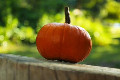 One orange pumpkin on stump in garden, closeup