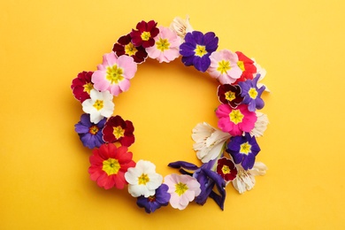 Frame of Primrose Primula Vulgaris flowers on yellow background, flat lay with space for text. Spring season