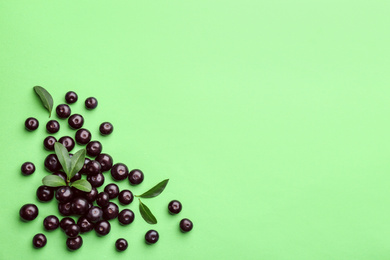 Photo of Fresh acai berries and leaves on green background, flat lay. Space for text