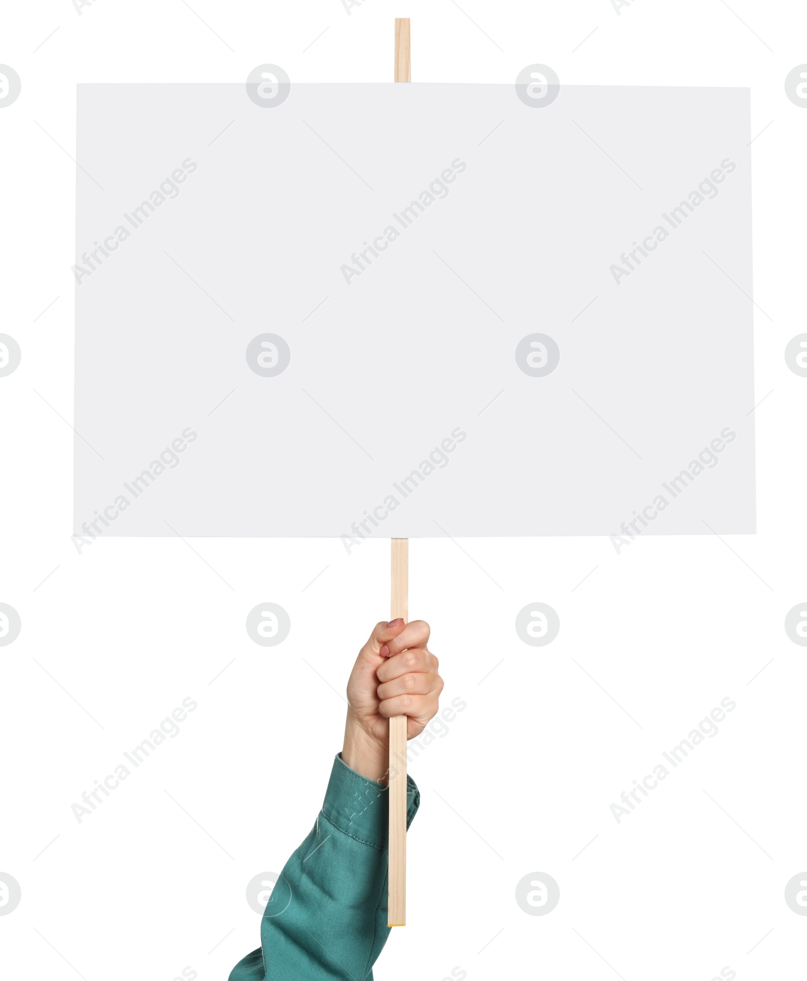 Photo of Woman holding blank protest sign on white background, closeup