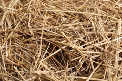 Dried straw as background, closeup. Livestock feed