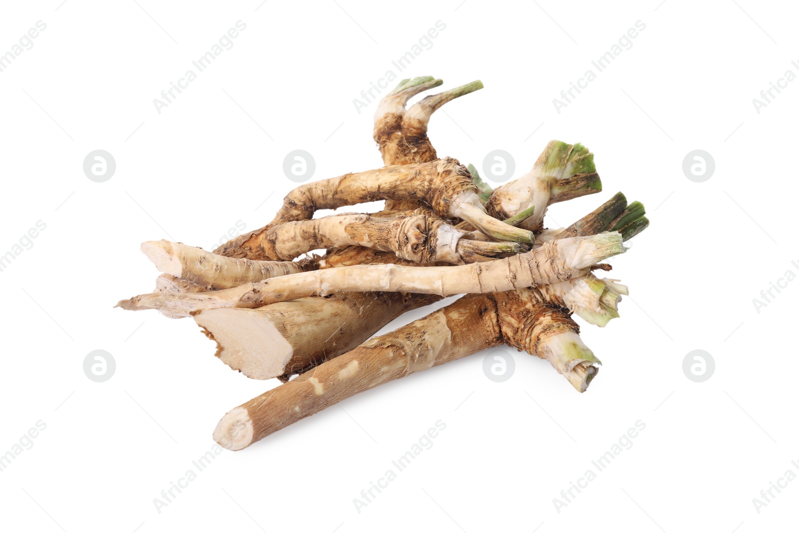 Photo of Pile of fresh horseradish roots isolated on white