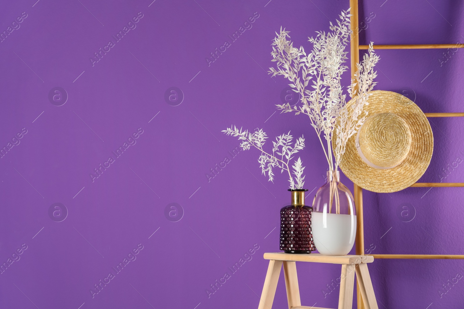 Photo of Stylish vases with beautiful branches near purple wall. Space for text