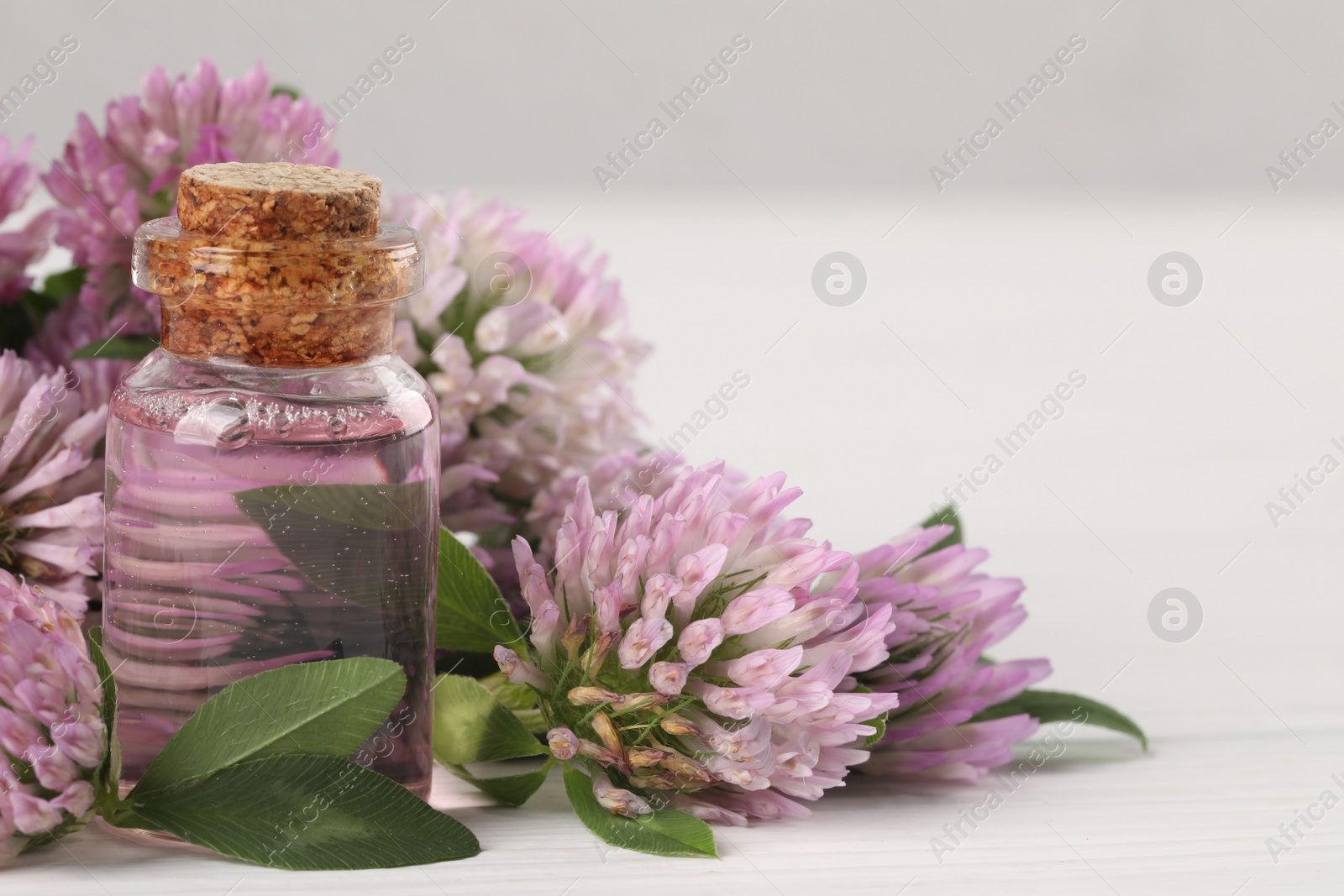 Photo of Beautiful clover flowers and essential oil on white table, closeup. Space for text
