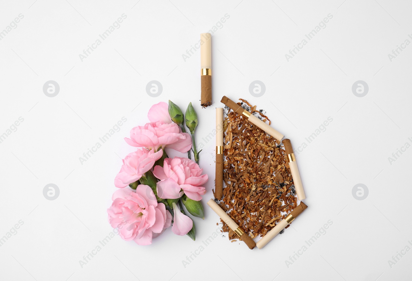 Photo of No smoking concept. Lungs made of dry tobacco, cigarettes and pink flowers on white background, flat lay