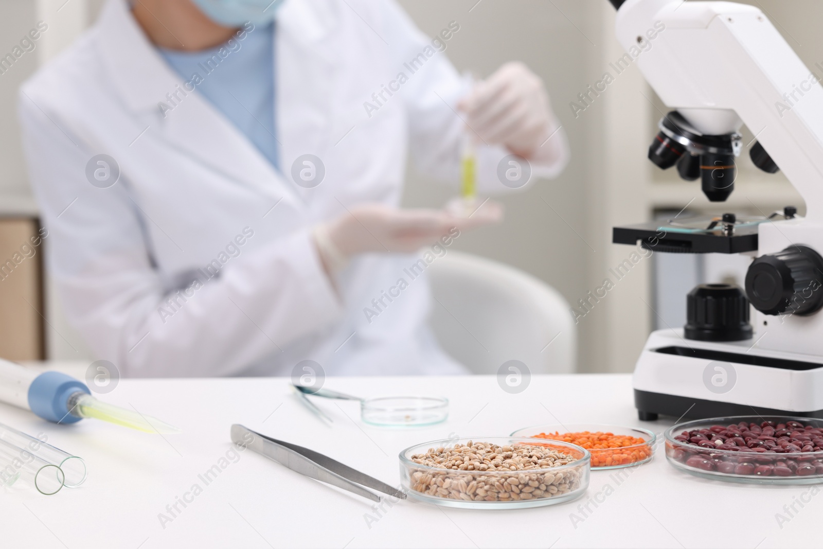 Photo of Quality control. Food inspector working in laboratory, focus on petri dishes with different products