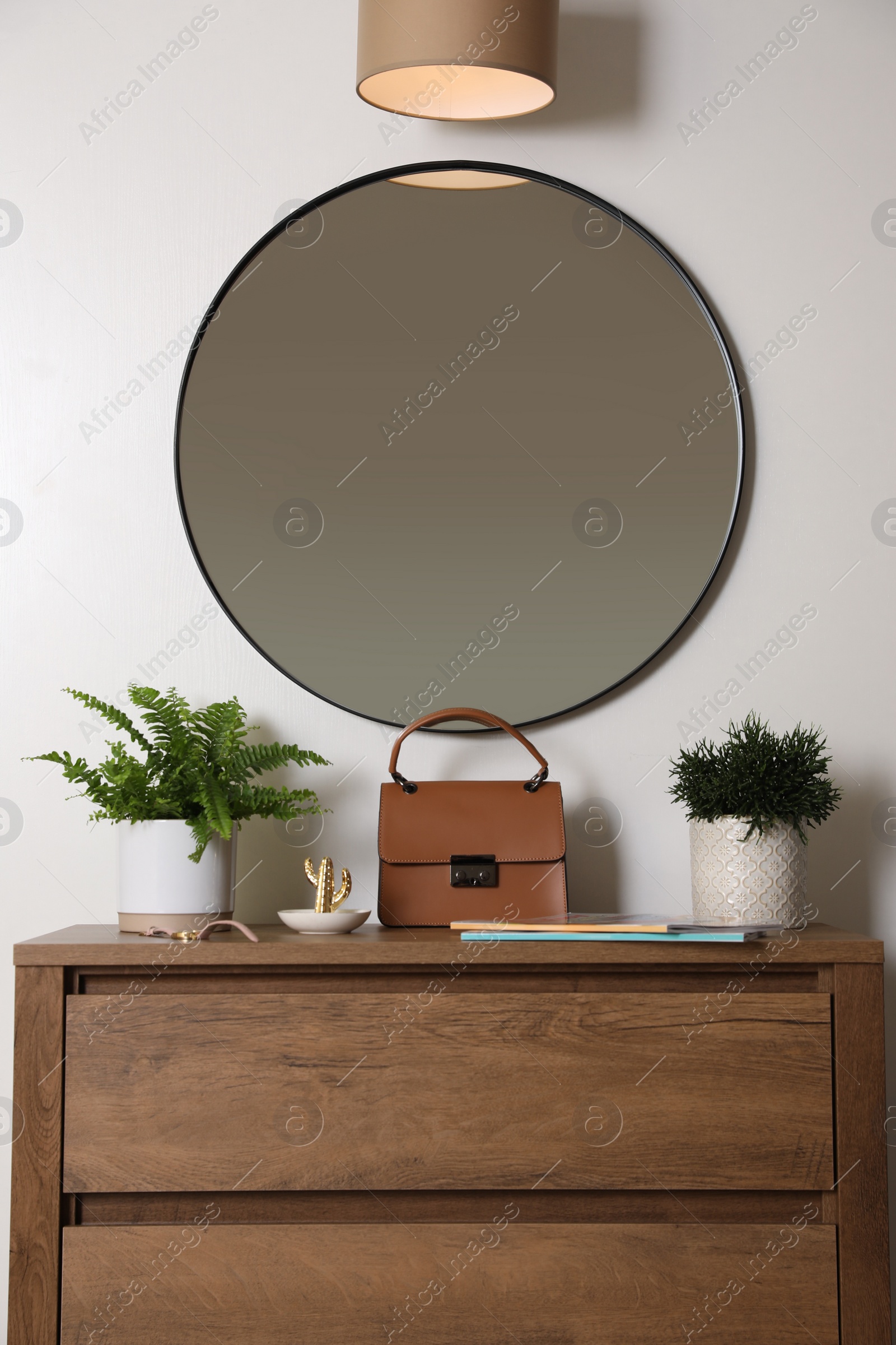 Photo of Beautiful potted ferns and accessories on wooden cabinet near white wall
