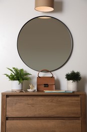 Beautiful potted ferns and accessories on wooden cabinet near white wall