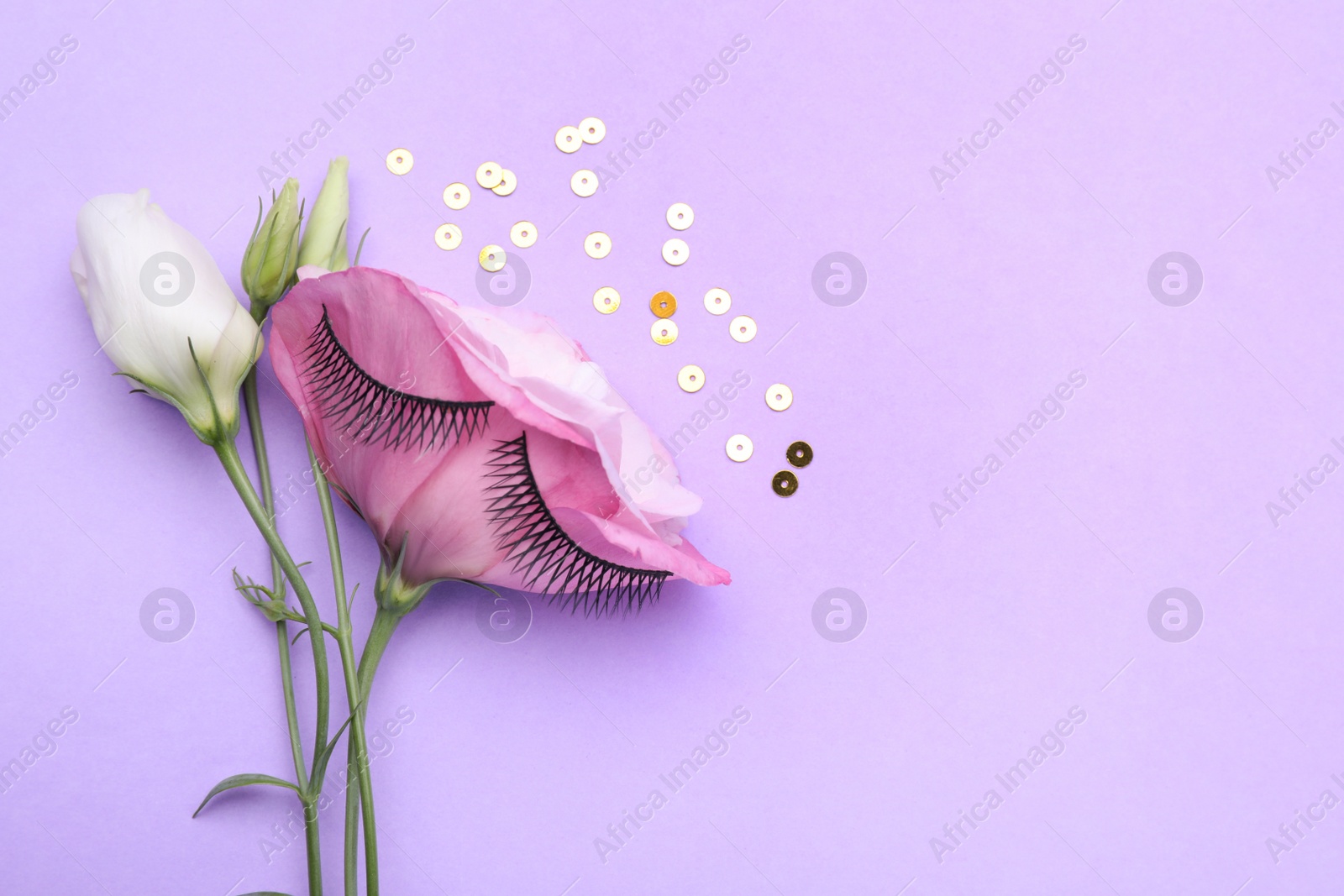 Photo of Flat lay composition with false eyelashes, flowers and sequins on violet background. Space for text