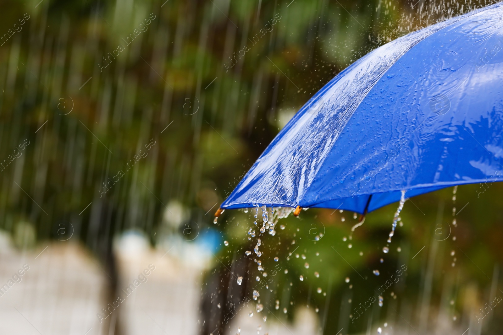 Photo of Bright umbrella under rain on street, closeup