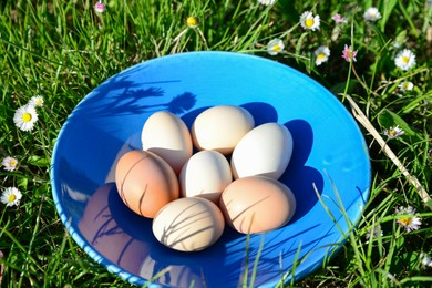 Plate of assorted eggs on green grass outdoors