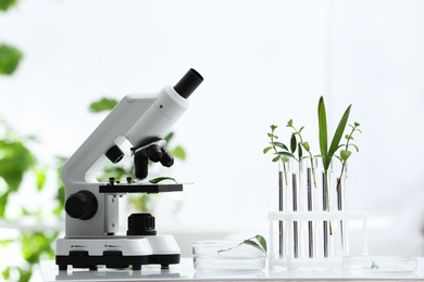 Laboratory glassware with different plants and microscope on table against blurred background. Chemistry research