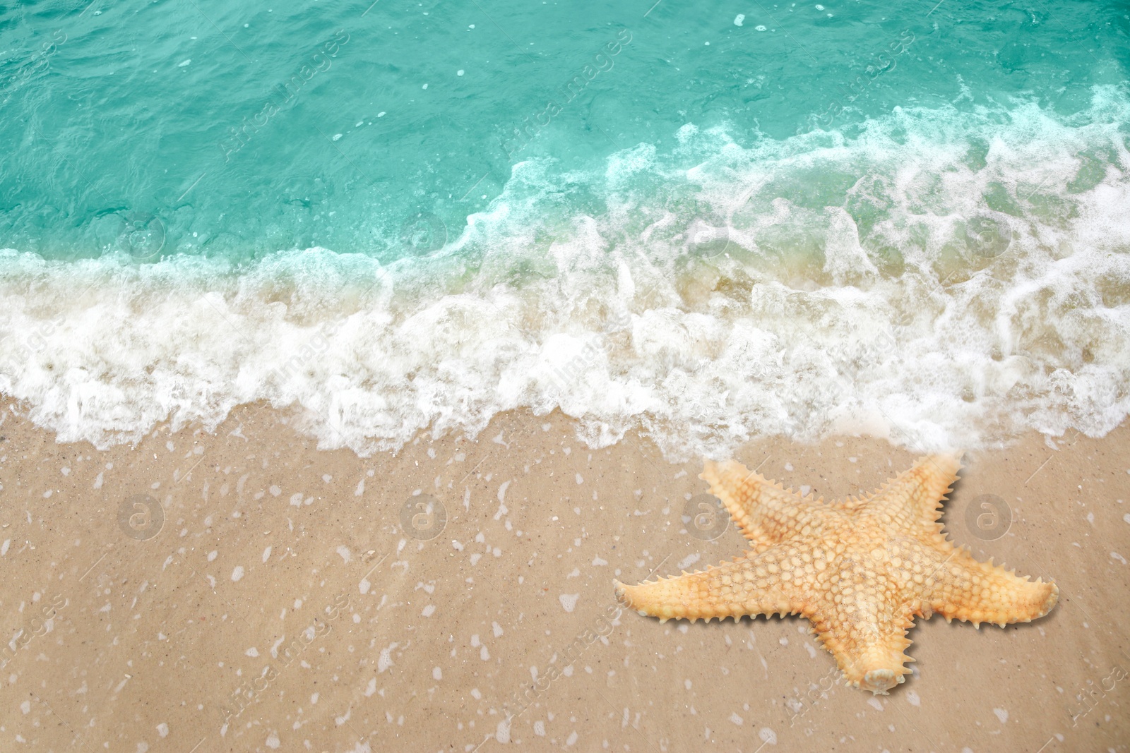 Image of Beautiful waves and sea star on sandy beach