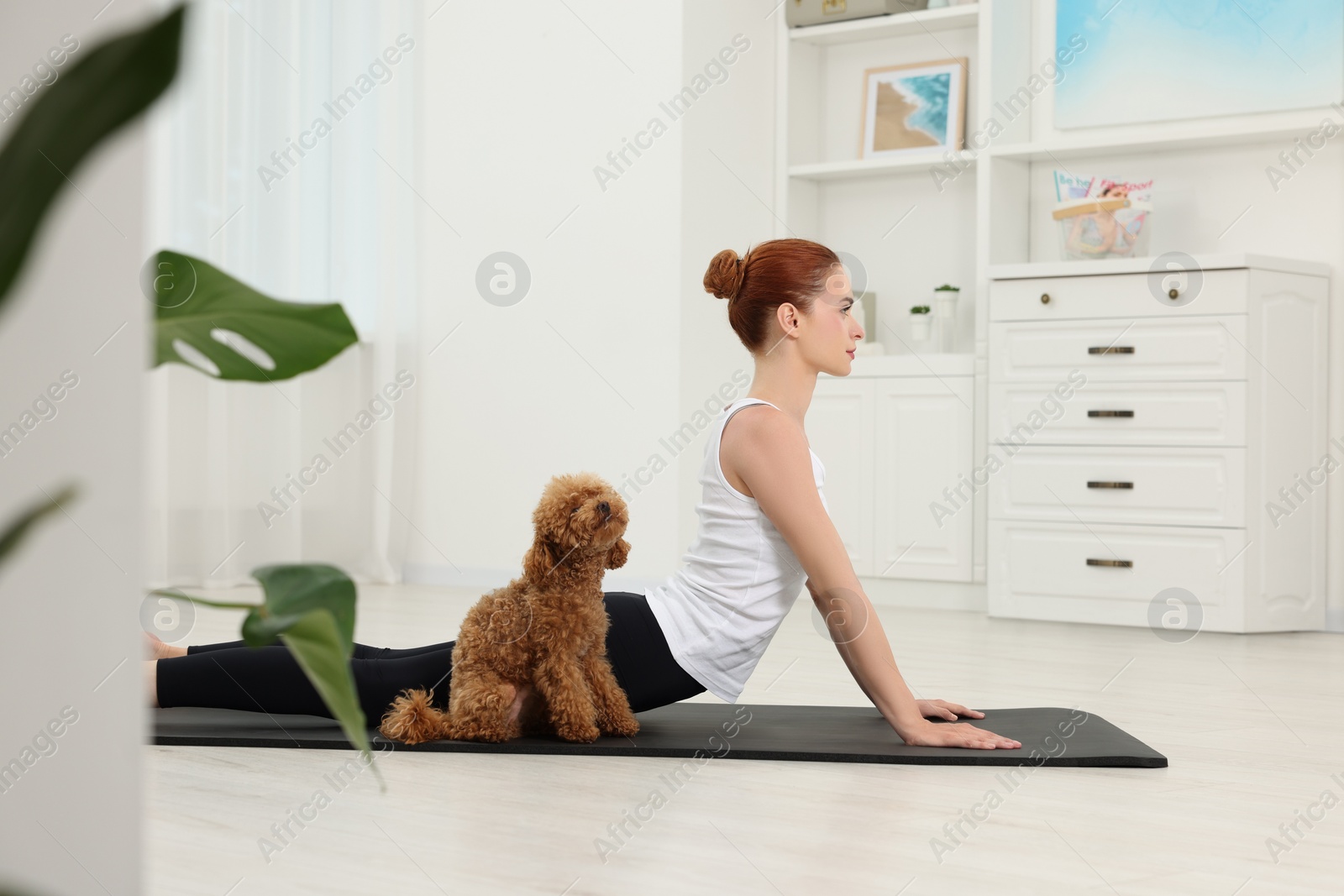 Photo of Young woman practicing yoga on mat with her cute dog at home