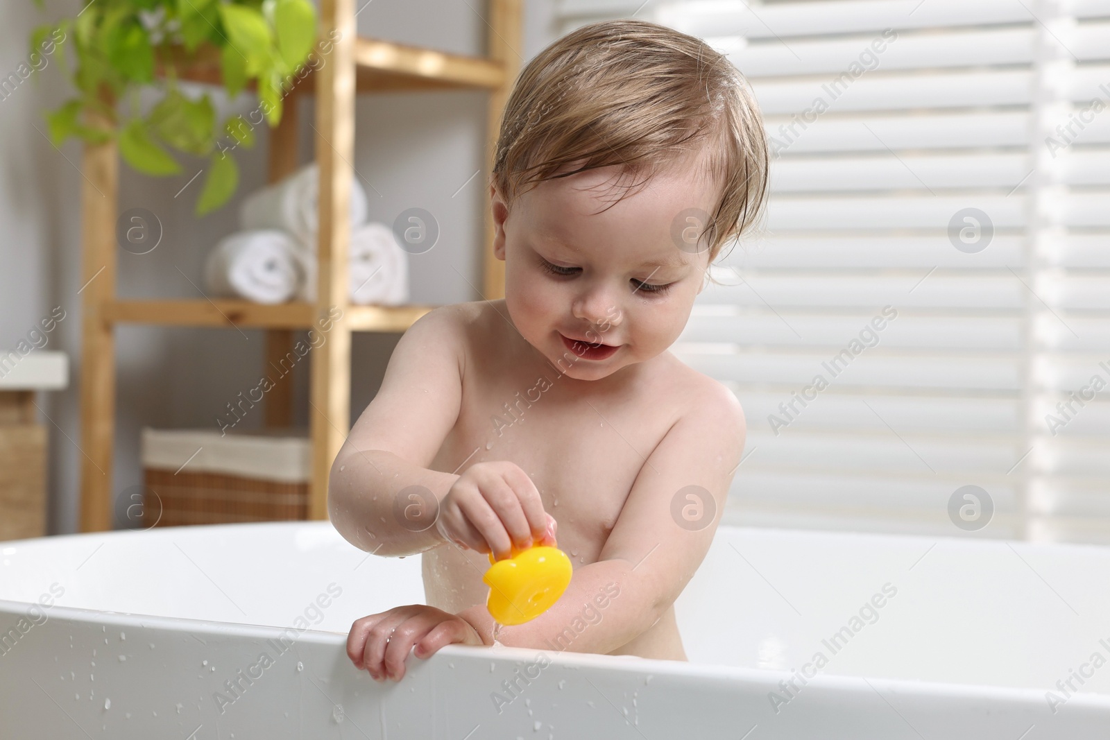 Photo of Cute little child playing with toy duck in bathtub at home